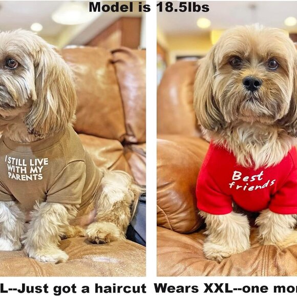 Cute Dog Clothes,Dog T Shirt for Medium Dogs.Dog Clothes for Small Dogs Girl Boy - Picture 2 of 6